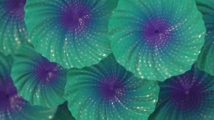 神奇的外星人霓虹色花朵，图案明亮，燃烧的点。明亮的抽象背景。数字无缝循环动画。3d渲染高清