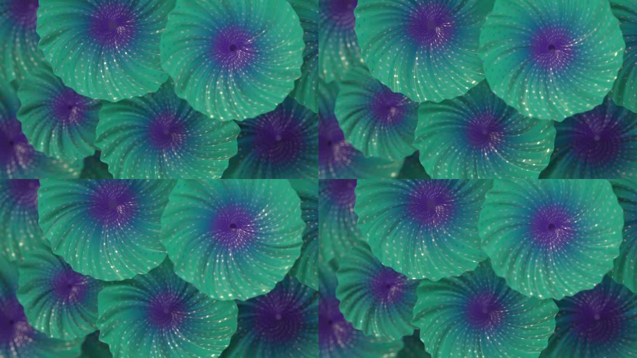 神奇的外星人霓虹色花朵，图案明亮，燃烧的点。明亮的抽象背景。数字无缝循环动画。3d渲染高清