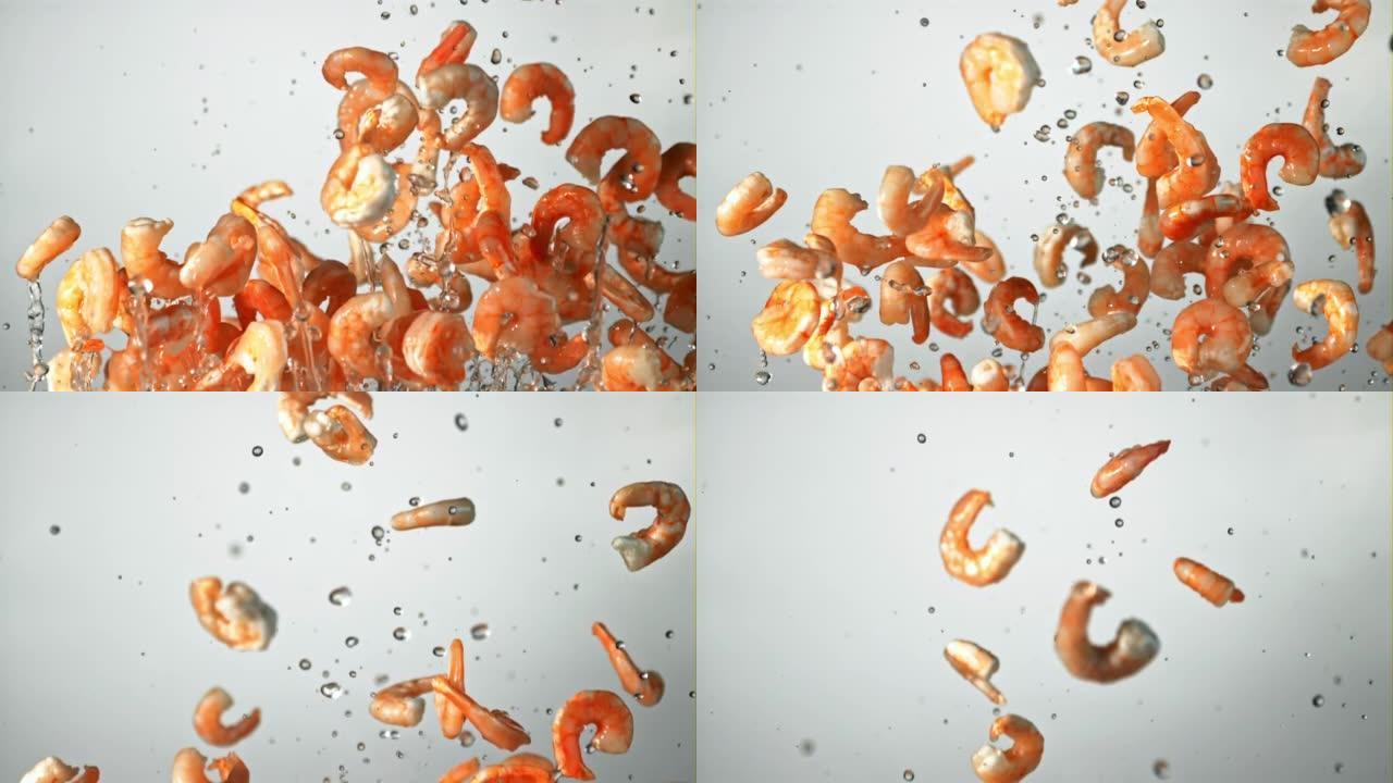 溅满水的虾在飞行中飞起并旋转。以1000 fps的高速相机拍摄。