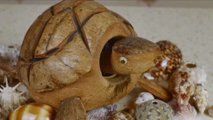 一只由椰子制成的玩具乌龟在一张表面类似黄色海沙的桌子上摇着头，周围是美丽的贝壳。从天然天然材料中获得