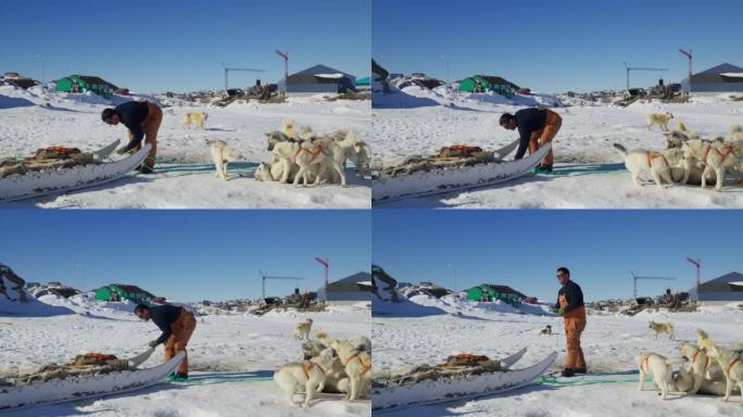 雪橇司机为狗准备雪橇