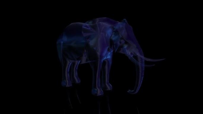深色背景下低聚线框的大象。由点、线和形状组成的多边形视频。虚拟空间中的无缝循环运动动画
