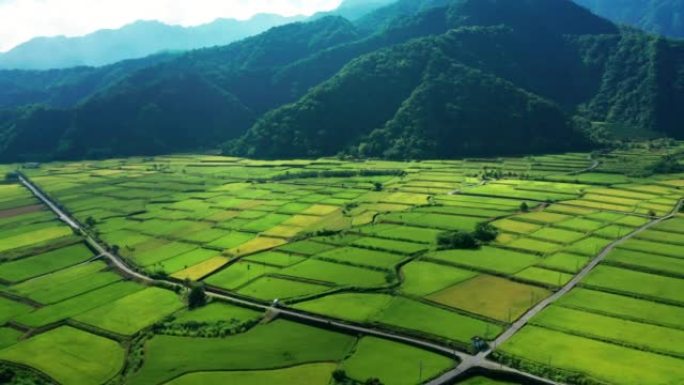 台湾花莲绿色稻田的鸟瞰图