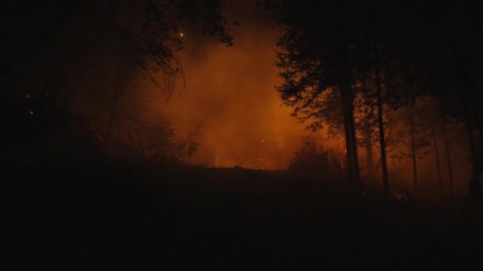 极近距离POV一场巨大的野火在黑夜中燃烧，蔓延着致命的余烬