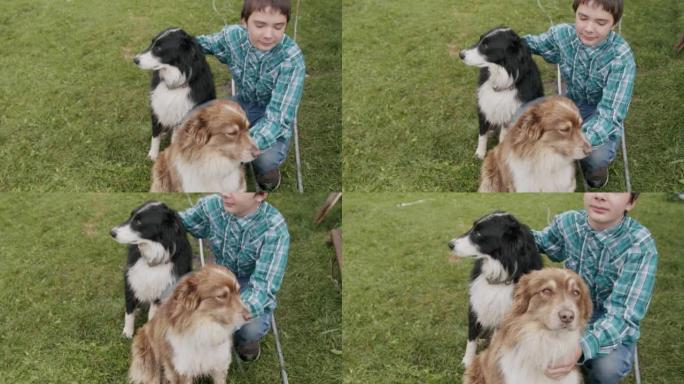 十几岁的农民男孩在美国科罗拉多州的一个小镇家庭牧场上抱着和抚摸他的两只可爱的宠物农场狗