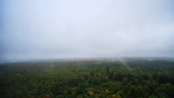 潮湿的秋天森林下雨后水分的蒸发。蒸汽从黄色和绿色的秋天树木升入天空