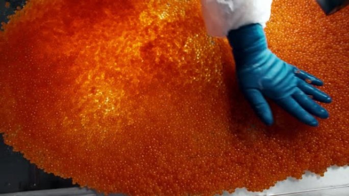 红鲑鱼鱼子酱生产工厂的员工生产质量控制