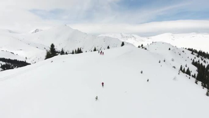 快乐的滑雪者在雪山阳光明媚的冬日滑雪偏远地区时玩得开心，肾上腺素高。在滑雪道外的新鲜粉末雪中进行极端