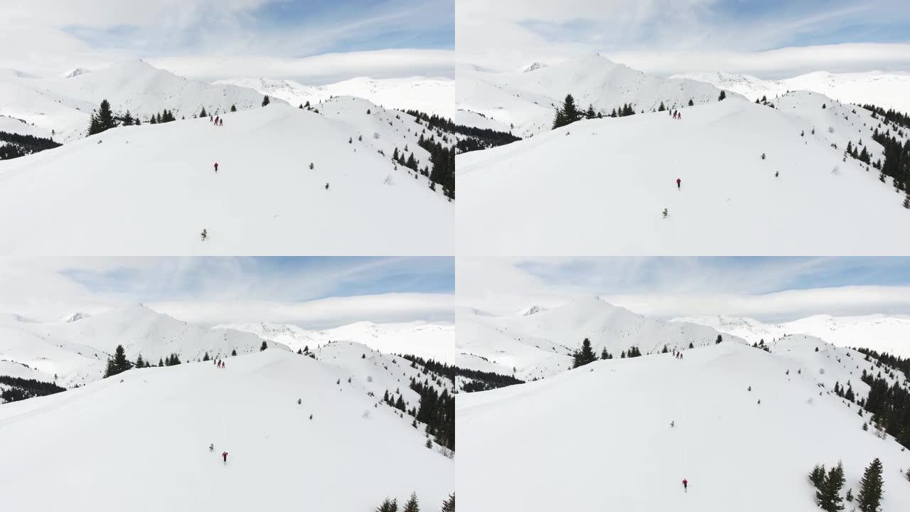 快乐的滑雪者在雪山阳光明媚的冬日滑雪偏远地区时玩得开心，肾上腺素高。在滑雪道外的新鲜粉末雪中进行极端