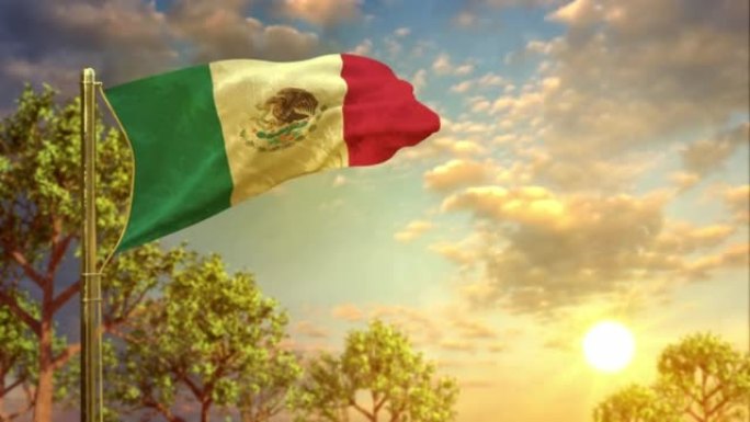 在日落时挥舞墨西哥国旗庆祝国家假日