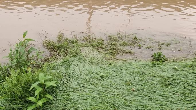 污水沟水环境工程疏浚河道排水设施污水处理