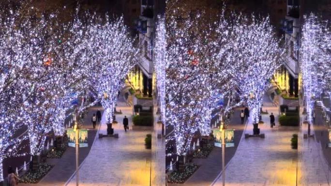 Christmas lights and people at Keyakizaka in Roppo