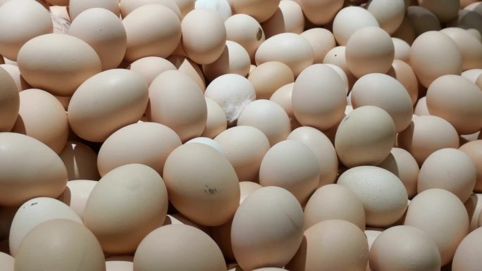 鸡蛋-一堆鸡蛋-鸡蛋展示
