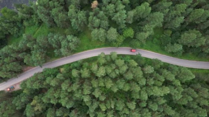 快递运输服务。鸟瞰图红色货车在夏日行驶在穿越广阔森林的柏油路上。松树森林中汽车行驶的航拍。风景优美。