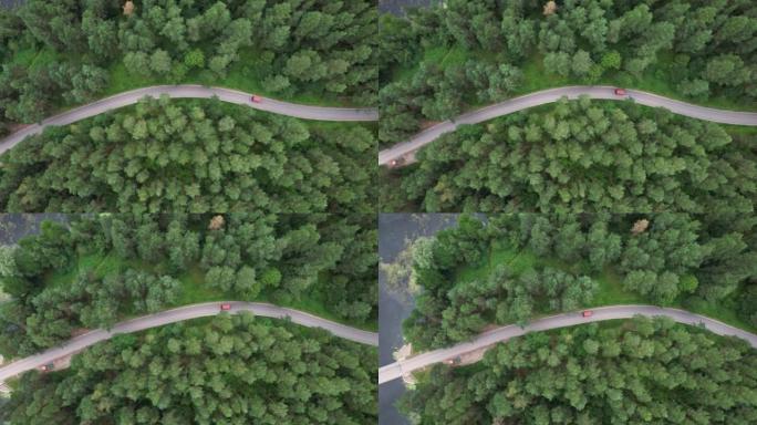 快递运输服务。鸟瞰图红色货车在夏日行驶在穿越广阔森林的柏油路上。松树森林中汽车行驶的航拍。风景优美。