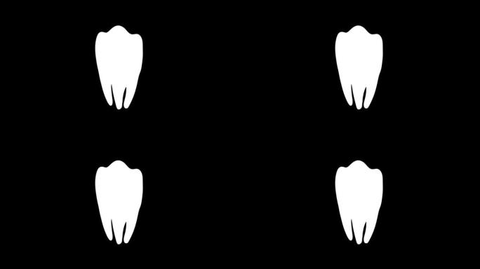 口腔卫生: 牙齿清洁超声波洗牙。人体牙齿治疗的医学精确3D动画。孤立的3d视频。Luma哑光