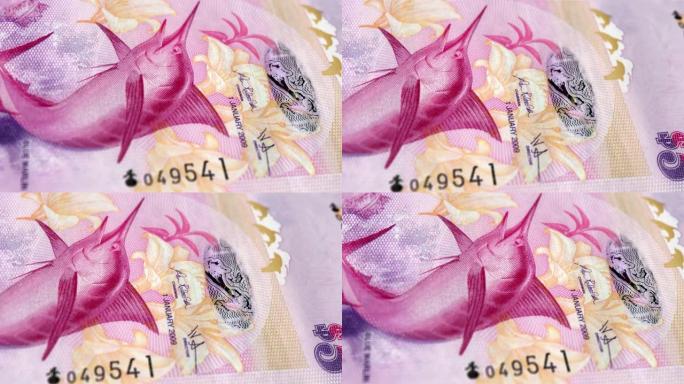 百慕大百慕大元5纸币，五百慕大元，百慕大元的特写和宏观视图，跟踪和多莉拍摄5百慕大元纸币观察和储备方