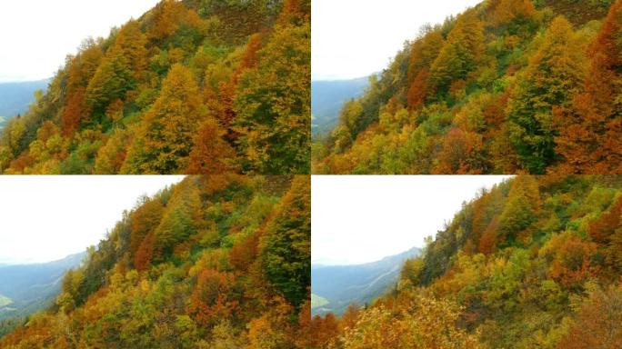 山里的秋天 -- 从缆车上看