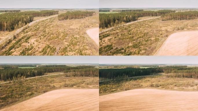 鸟瞰图绿色松林毁林区景观，农业田地和乡村道路。田野附近生长的森林的俯视图。鸟瞰。无人机失速过度失速。