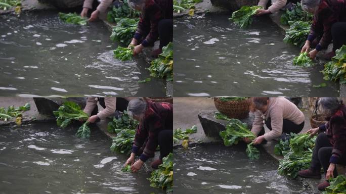 农村老奶奶妈妈池塘水塘清洗蔬菜青菜实拍