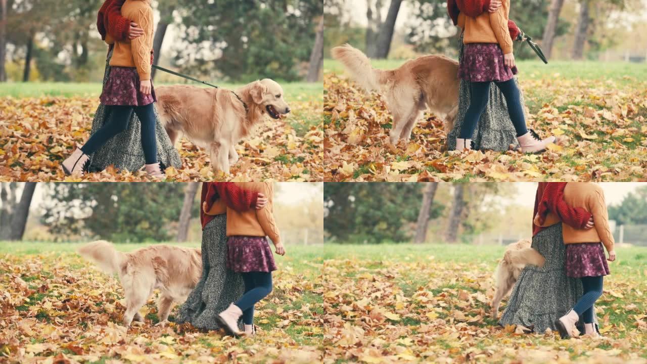 母亲和女儿在公园里与狗一起散步