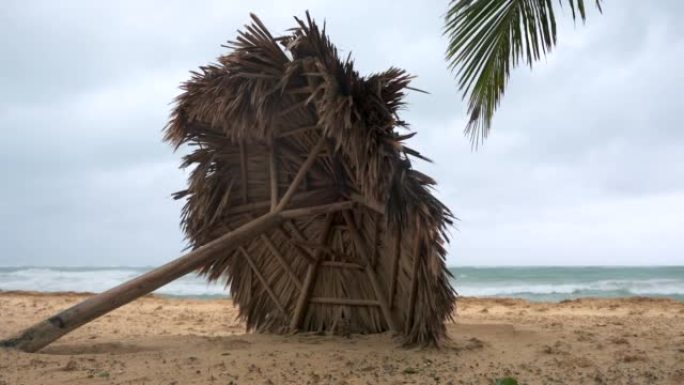 暴风雨过后的热带海滩。由棕榈树叶子制成的落伞。澳门台风过后的海滨