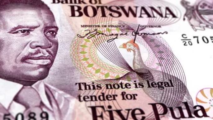 博茨瓦纳博茨瓦纳普拉5纸币，五博茨瓦纳普拉，博茨瓦纳普拉的特写和宏观视图，跟踪和多莉拍摄5博茨瓦纳普