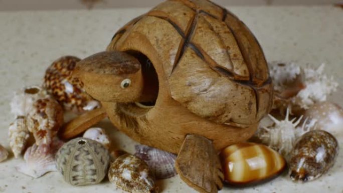 一个由椰子壳制成的乌龟模型摇了摇头，五颜六色的贝壳躺在一张轻便的桌子上，表面像海沙