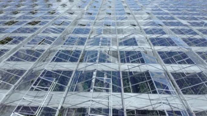 鸟瞰图飞越有蔬菜的大型温室，有透明玻璃屋顶的温室。从上面看现代高科技温室景观。鸟瞰图大型工业技术温室