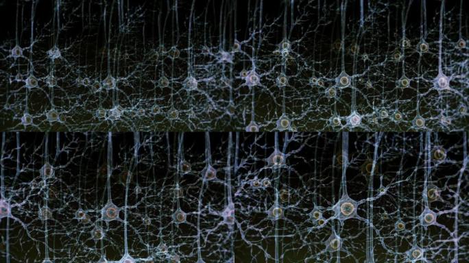 神经元系统神经元动画