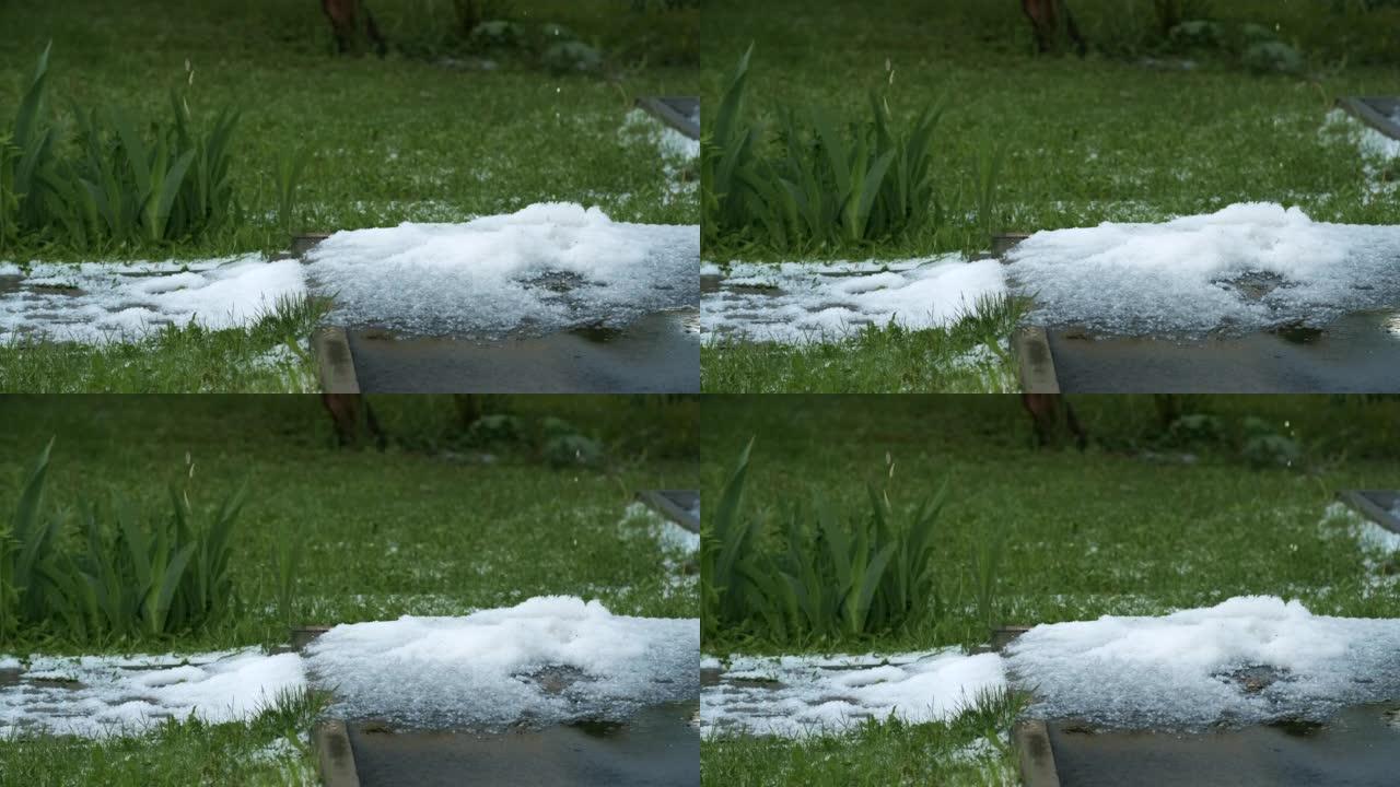 春季冰雹过后，沥青和草地上的白色冰块。