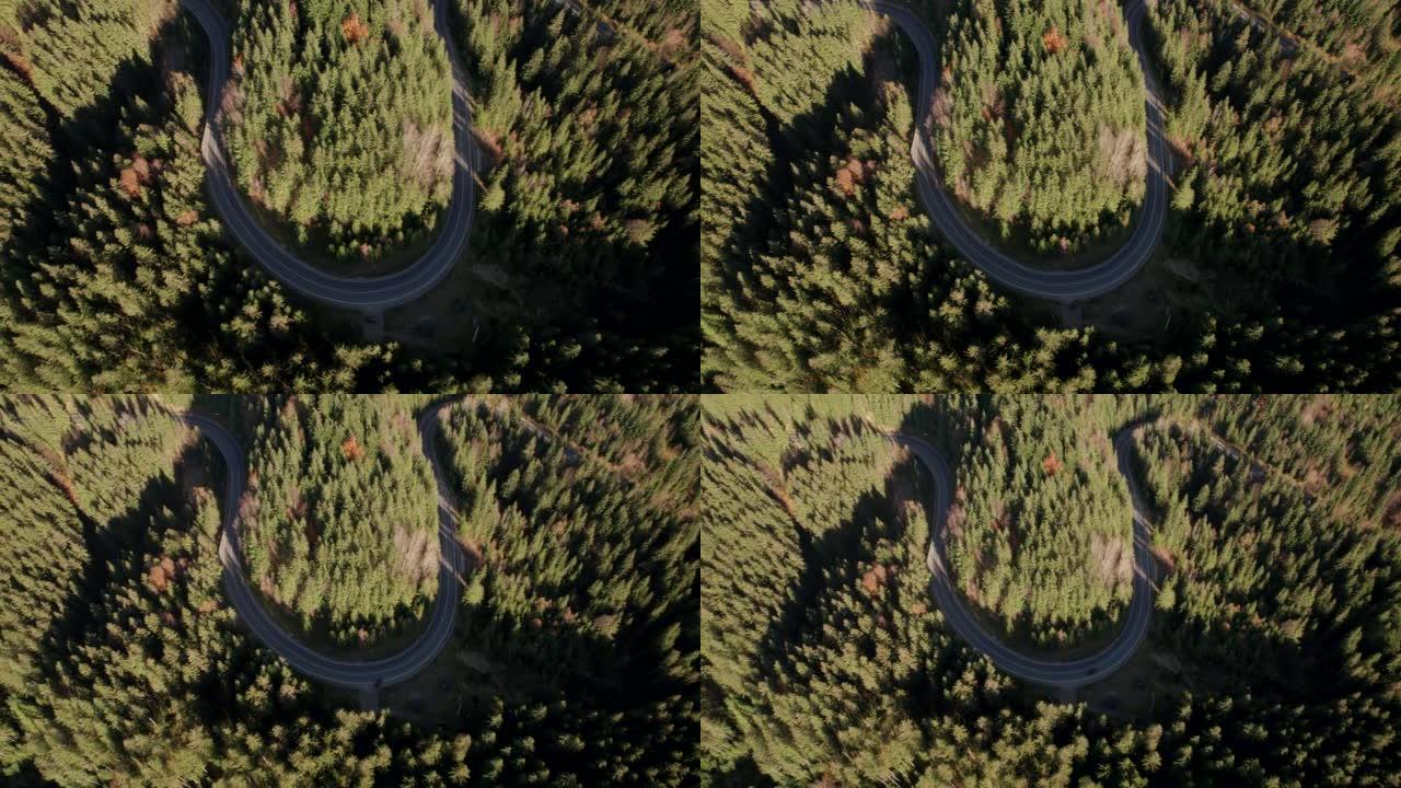 空中揭露森林中蜿蜒的山路的镜头