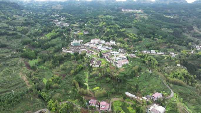 乡村振兴茶乡山村乡村聚居点