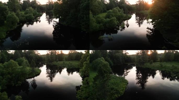 明亮的阳光照在池塘边的公园绿树后面