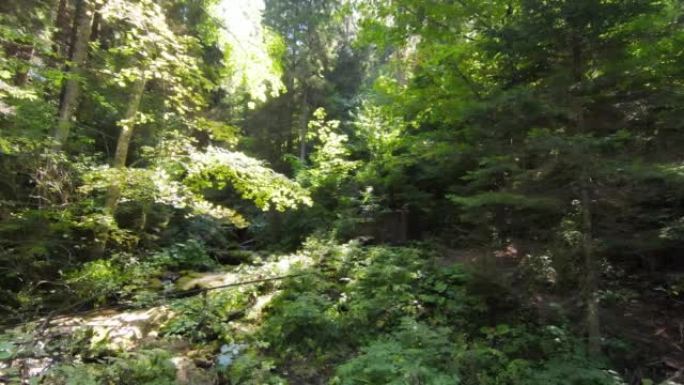 空中无人驾驶飞机在魔法森林中飞行，峡谷中有一条小溪沿着瀑布流下，绿色的石头上长着苔藓，相机缓慢地飞向