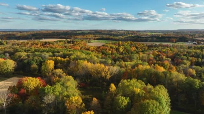 下午秋天的空中，无人机视频，纽约杜鲁门斯堡的景色。位于纽约伊萨卡附近的手指湖地区。