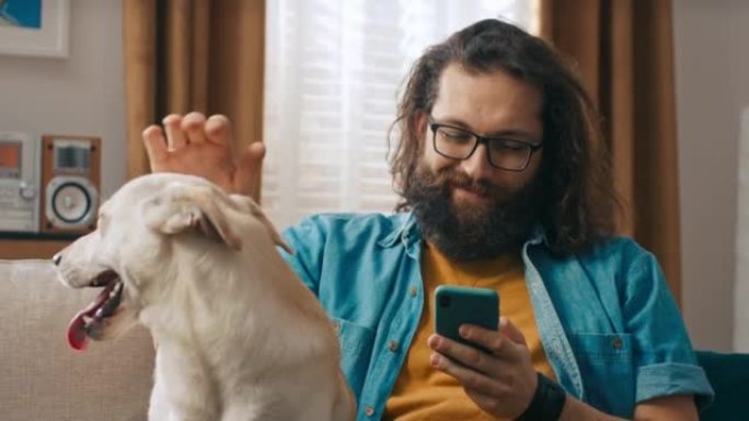 一个大胡子的英俊男人和他的狗坐在客厅的沙发上，他抚摸着它。该男子正在浏览智能手机上的保险单报价