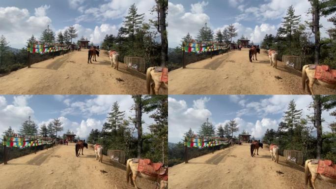 在前往不丹虎巢的路上，有马和彩色的佛教旗帜