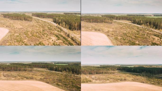 鸟瞰图绿色松林毁林区景观，农业田地和乡村道路。田野附近生长的森林的俯视图。鸟瞰。无人机失速过度失速。