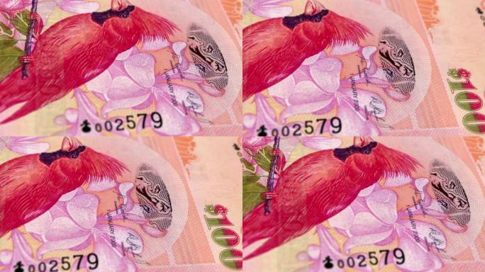 百慕大百慕大元100纸币，一百百慕大元，百慕大元的特写和宏观视图，跟踪和多莉拍摄100百慕大元纸币观