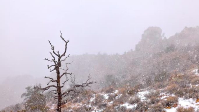 大峡谷冬季暴风雪