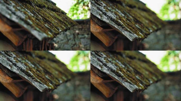 古老的乡村房屋木制木瓦对接屋顶覆盖着苔藓