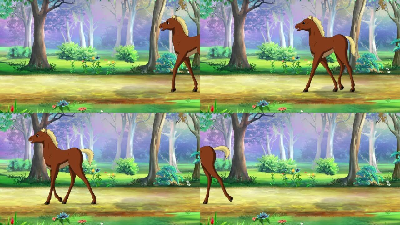 棕色小马驹在公园散步