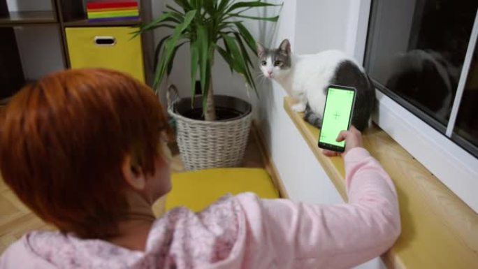 中年妇女和她的猫坐在窗户附近，同时使用带有绿屏的手机