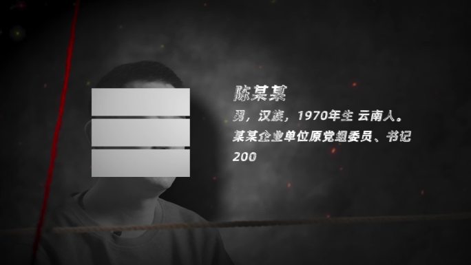 纪检 反腐 警示教育 嫌疑人介绍