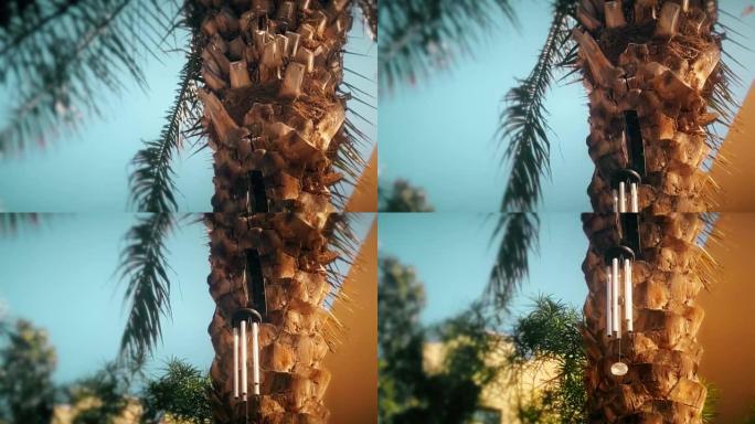 慢动作，棕榈树和建筑物的特写视图