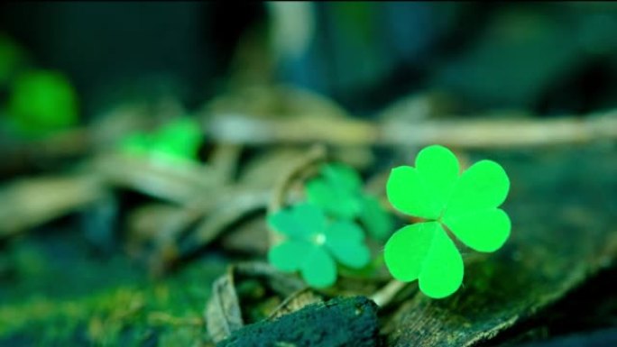 绿色背景，三叶三叶草，幸运的爱尔兰四叶三叶草在圣帕特克斯日假期的象征。带有三叶三叶草，圣帕特里克节假