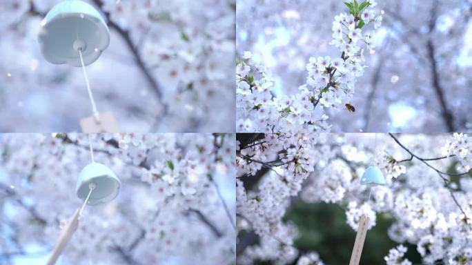 春天唯美意境 风铃 樱花 蜜蜂 小清新