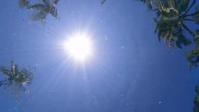 明亮的太阳在天顶和热带棕榈树反射在水池水面的特写镜头。天空中没有一朵云。气温舒适。