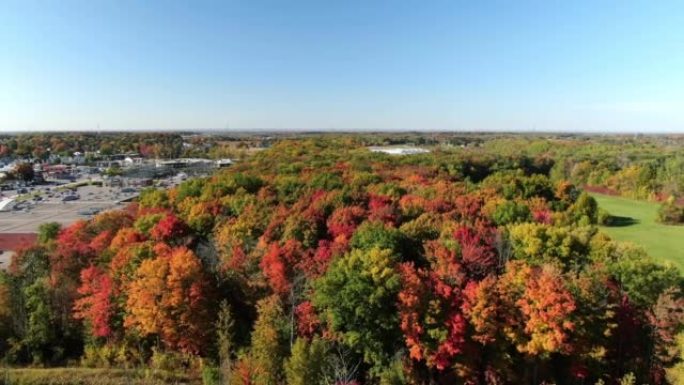 无人机视频飞越圣尤斯塔奇的自然公园，用五颜六色的树木展示秋天的美丽，并轮流展示亚瑟-索夫的部分业务